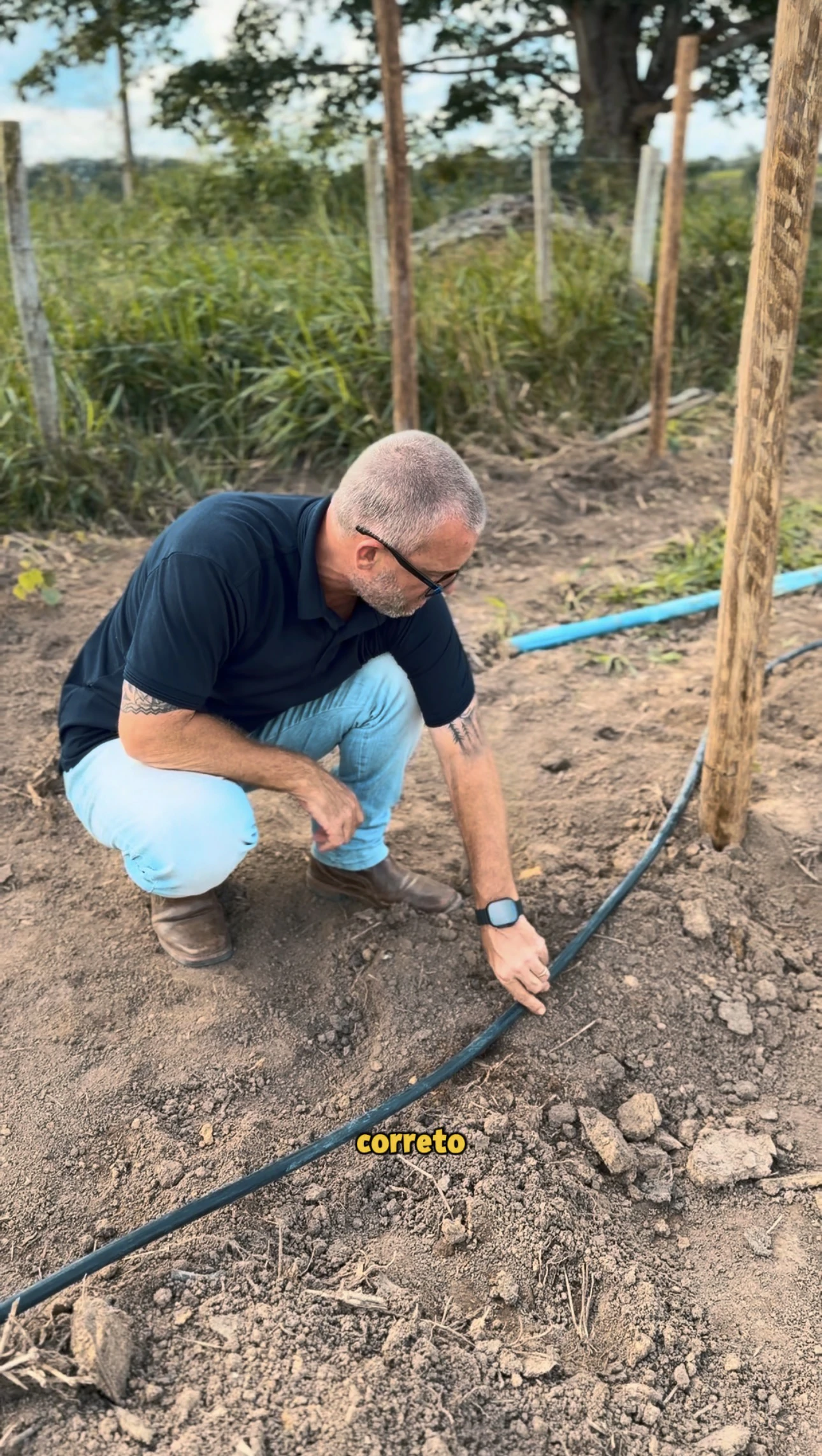Experiência prática da Erasmo Agro no campo — imagem 18 de 38